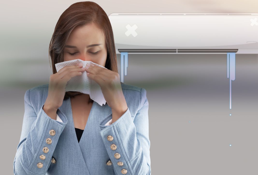 How to stop the musty smell from the air conditioner in winter: Tips from pros